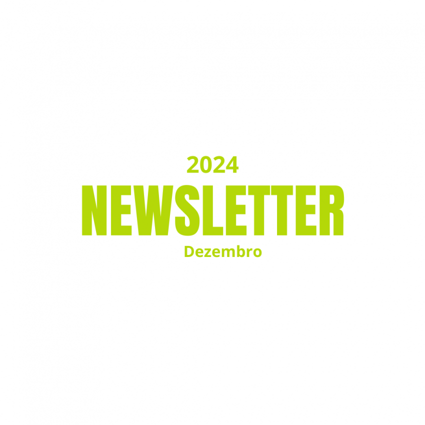 Confira as principais atividades realizadas em Dezembro de 2024 no Projeto Tamandaré